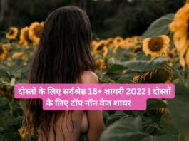 दोस्तों के लिए सर्वश्रेष्ठ 18+ शायरी 2022 | दोस्तों के लिए टॉप नॉन वेज शायरी