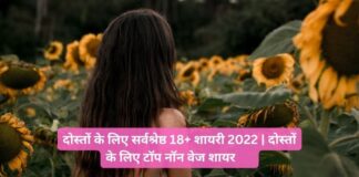 दोस्तों के लिए सर्वश्रेष्ठ 18+ शायरी 2022 | दोस्तों के लिए टॉप नॉन वेज शायरी