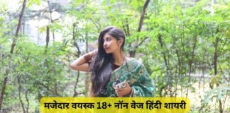 मजेदार वयस्क 18+ नॉन वेज हिंदी शायरी व्हाट्सएप एसएमएस शेयर