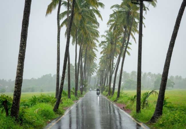 Monsoon Season (June to October)